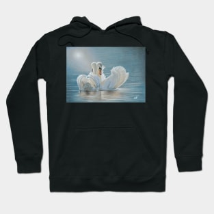 Swans Hoodie